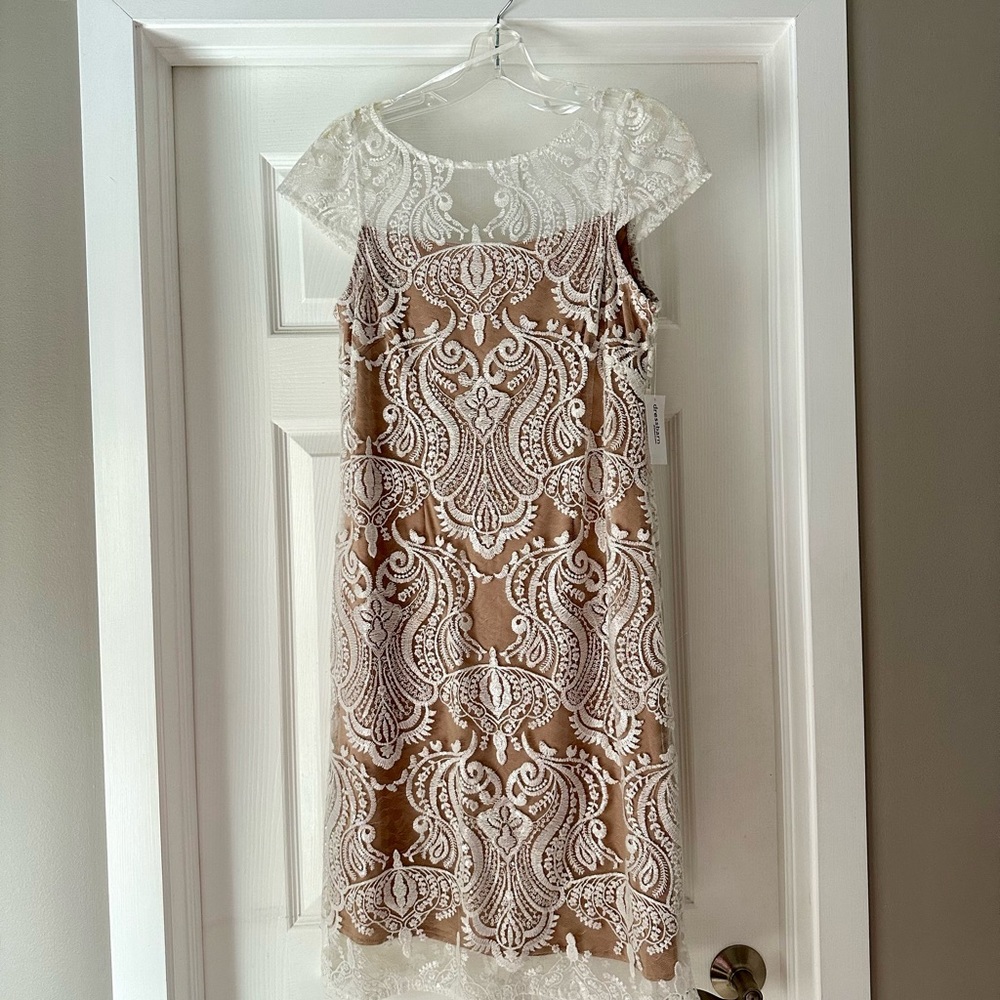 NWT Dress Barn dress - size 6